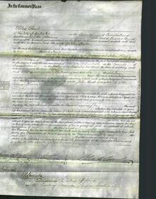 Court of Common Pleas - Jane Skelton-Original Ancestry