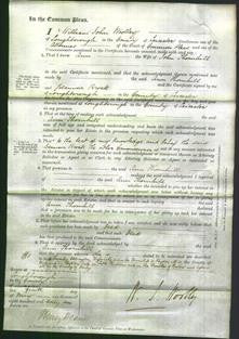 Court of Common Pleas - Ann Thornill-Original Ancestry