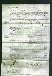 Court of Common Pleas - Mary Ann Steel-Original Ancestry