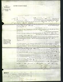 Court of Common Pleas - Elizabeth Howse-Original Ancestry