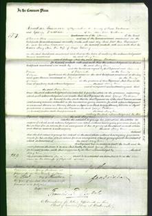 Court of Common Pleas - Mary Ann Bellamy-Original Ancestry