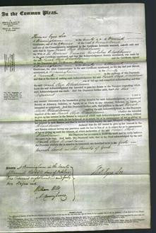 Court of Common Pleas - Sarah Eliza Blackburme-Original Ancestry