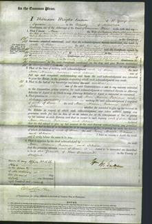 Court of Common Pleas - Patience Smith and Selina Rubry-Original Ancestry