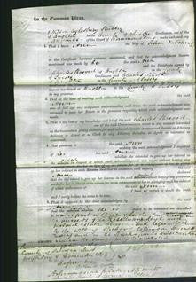 Court of Common Pleas - Ann Patching-Original Ancestry