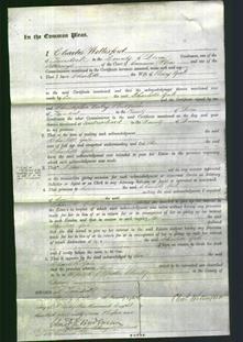 Court of Common Pleas - Charlotte Gale