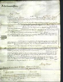 Court of Common Pleas - Rachael Pratt and Hannah Treadwell-Original Ancestry