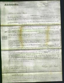 Court of Common Pleas - Sarah Barker-Original Ancestry