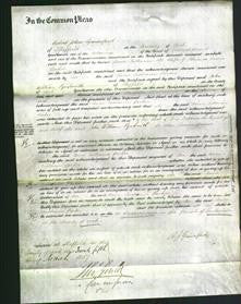 Court of Common Pleas - Anne Catharine Parker-Original Ancestry