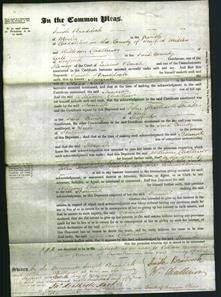 Court of Common Pleas - Hannah Salt-Original Ancestry