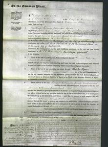 Court of Common Pleas - Leonora Coleman Sarah Underwood-Original Ancestry