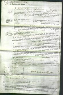 Court of Common Pleas - Margaret Verney-Original Ancestry