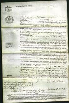 Court of Common Pleas - Sophia Ann Turner-Original Ancestry