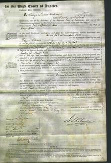 Court of Common Pleas - Julia Amelia Hill-Original Ancestry