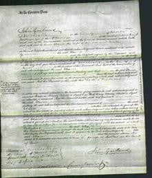 Court of Common Pleas - Eleanor Mason-Original Ancestry