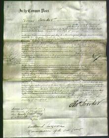 Court of Common Pleas - Elizabeth Finer-Original Ancestry