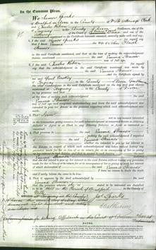 Court of Common Pleas - Emma Stenner-Original Ancestry