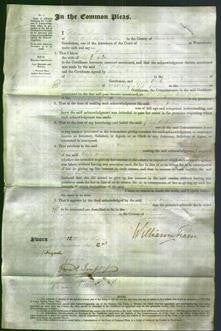 Court of Common Pleas - Eliza Hallen