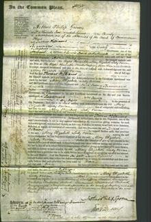 Court of Common Pleas - Right Honorable Mary Elizabeth Lady Vivian-Original Ancestry