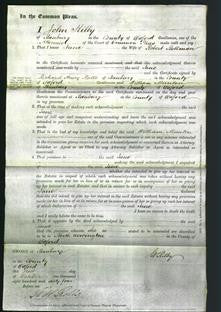 Court of Common Pleas - Jane Bellman-Original Ancestry