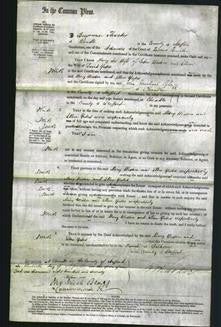 Court of Common Pleas - Mary Weston and Ellen Gales-Original Ancestry