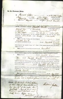 Court of Common Pleas - Elizabeth Ernill-Original Ancestry