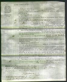 Court of Common Pleas - Sarah Ridley-Original Ancestry