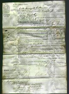 Court of Common Pleas - Elizabeth Smith-Original Ancestry