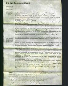 Court of Common Pleas - Ann Teresa Smith-Original Ancestry