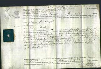 Deed by Married Women - Ann Cartright and Maria Taylor-Original Ancestry
