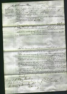 Court of Common Pleas - Sarah Ann Combe-Original Ancestry