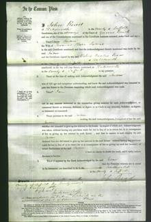 Court of Common Pleas - Susan Jarvis-Original Ancestry