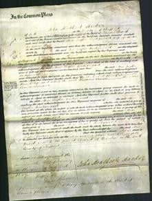 Court of Common Pleas - Ann Taylor Wedgewood-Original Ancestry