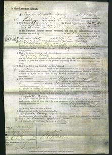 Court of Common Pleas - Elizabeth Curry-Original Ancestry