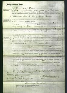 Court of Common Pleas - Ellen Wilson-Original Ancestry
