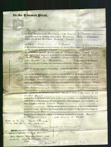 Court of Common Pleas - Emma Bunn-Original Ancestry