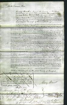 Court of Common Pleas - Sophia Ballinger-Original Ancestry