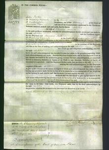 Court of Common Pleas - Letitia Arnold-Original Ancestry