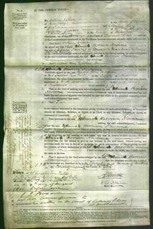 Court of Common Pleas - Hannah Harrison Newsome