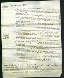 Court of Common Pleas - Sophia Susannah Meers-Original Ancestry