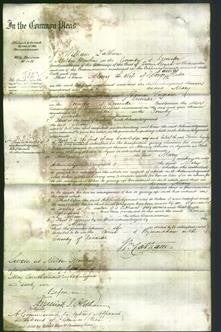 Court of Common Pleas - Mary Slater-Original Ancestry