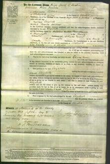 Court of Common Pleas - Elizabeth Bolshaw-Original Ancestry