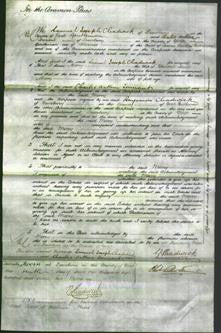 Court of Common Pleas - Mary Carr Senior-Original Ancestry