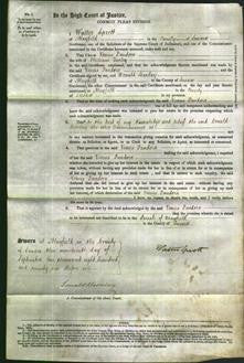 Court of Common Pleas - Venus Pandora Turley-Original Ancestry