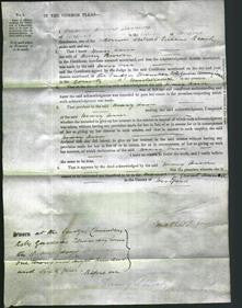 Court of Common Pleas - Mary Ann Brown-Original Ancestry