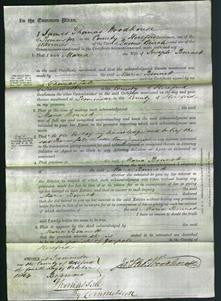 Court of Common Pleas - Maria Bennett-Original Ancestry