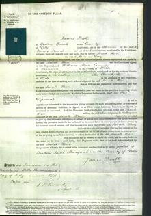 Court of Common Pleas - Sarah Keen Day-Original Ancestry