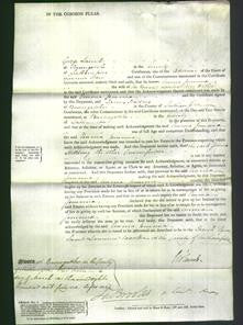 Court of Common Pleas - Emma Jemima Wither-Original Ancestry