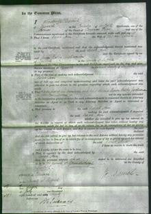 Court of Common Pleas - Sarah Ann Daniel-Original Ancestry