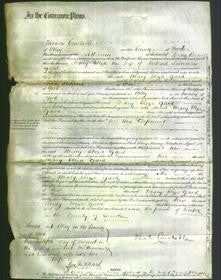 Court of Common Pleas - Mary Eliza Gard-Original Ancestry