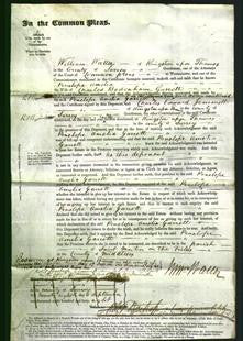 Court of Common Pleas - Penelope Amelia Garrett-Original Ancestry